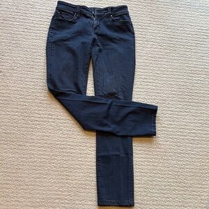 Ann Taylor Women's Dark Blue Straight Leg Jeans